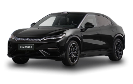  BYD Song L
